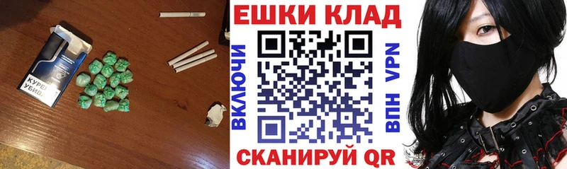 Ecstasy Philipp Plein  дарнет шоп  Альметьевск 