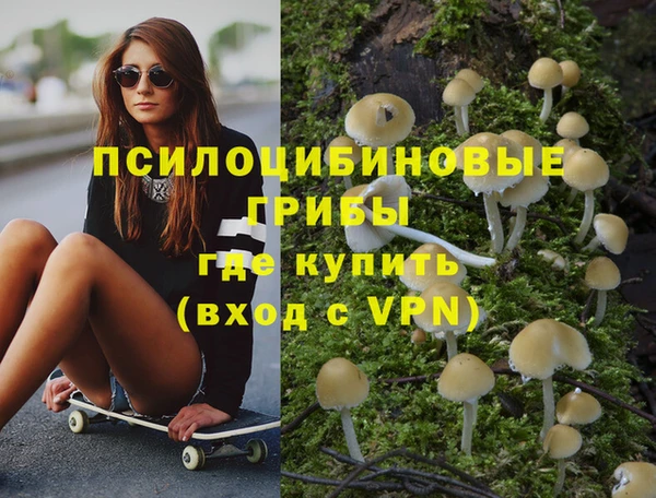 spice Кулебаки