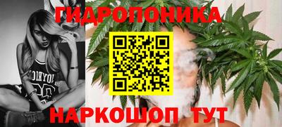 эйфоретик Абинск