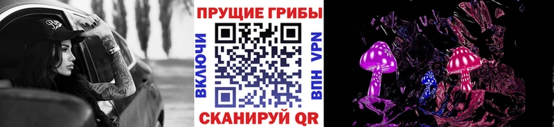 Галлюциногенные грибы Psilocybe  Альметьевск 