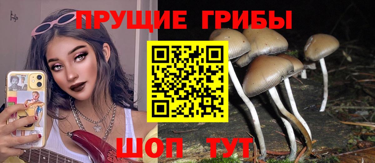 Псилоцибиновые грибы мухоморы Альметьевск