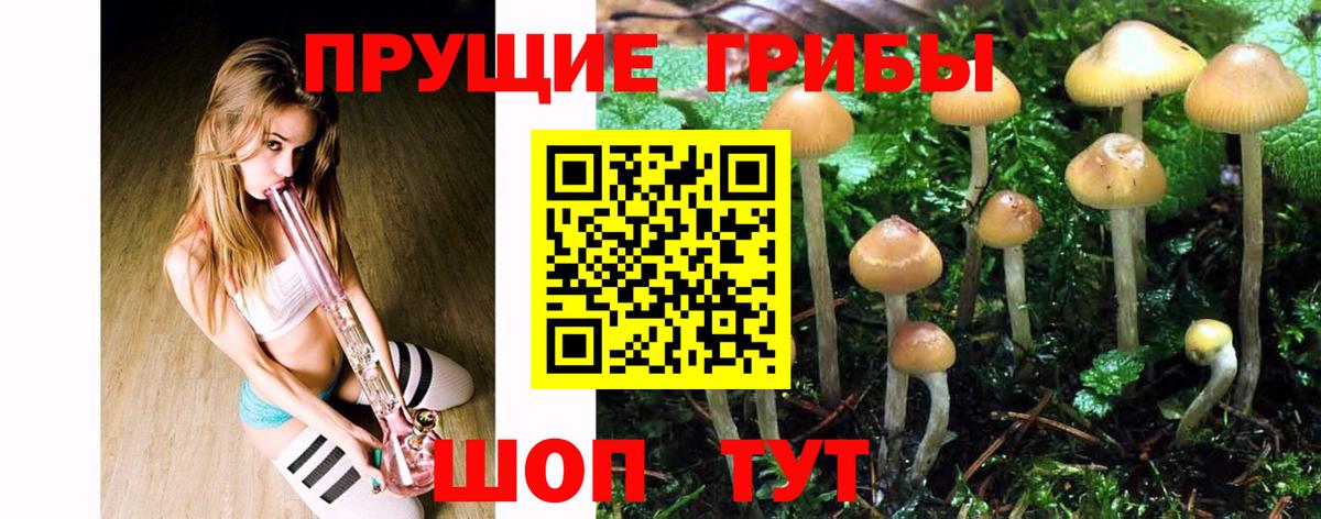 Галлюциногенные грибы Psilocybine cubensis  где продают наркотики  Альметьевск 