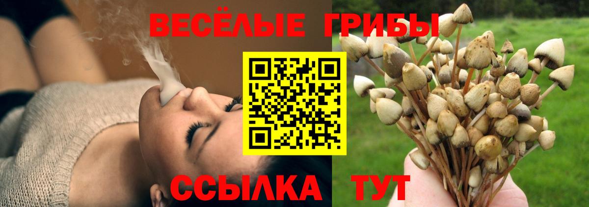 Псилоцибиновые грибы Cubensis  Вход с VPN  Альметьевск 